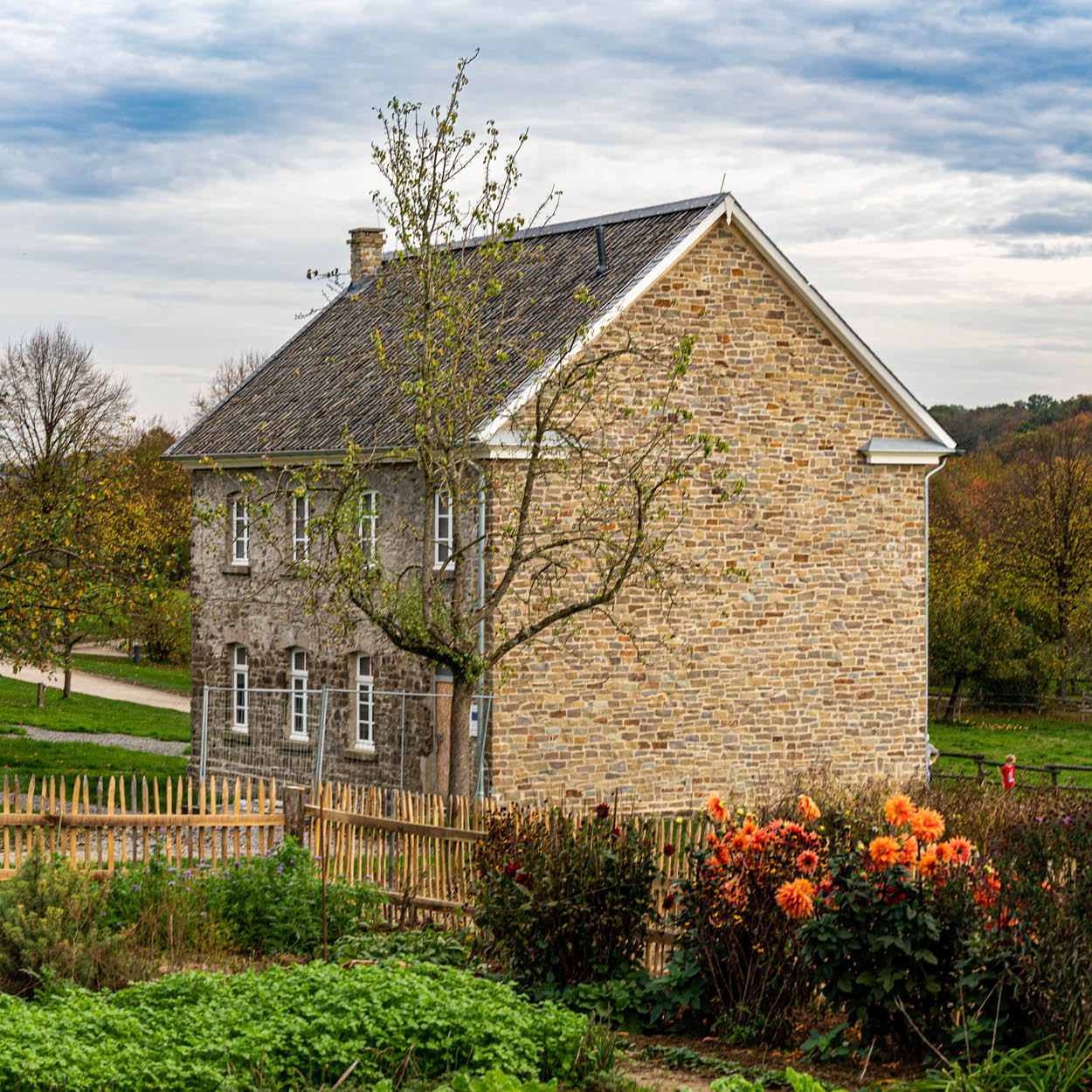 Mehr über den Artikel erfahren SCHULE AUS WALDBRÖL-HERMESDORF