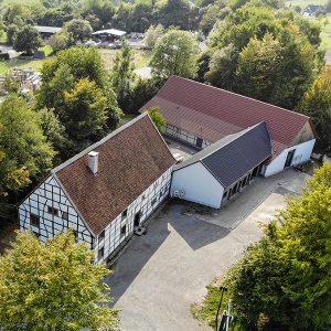 DJI_0453
